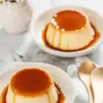 Delicious Japanese Purin pudding served with a glossy caramel sauce.