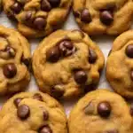 Delicious homemade Pumpkin Chocolate Chip Cookies topped with melted chocolate chips.
